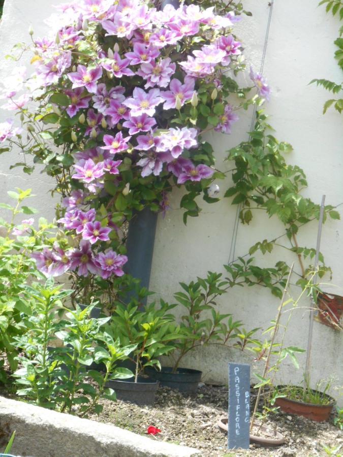 La Mare Aux Fees Bed & Breakfast Huelgoat Eksteriør bilde